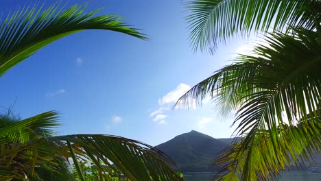 Wunderschöne-Palmblätter-Bei-Strahlendem-Sonnenaufgang-Mit-Strahlend-Blauem-Himmel-Und-Leuchtenden-Wolken-Im-Hintergrund-Am-Weißen,-Exotischen-Sandstrand-In-Vietnam