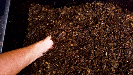 Mixing-compost-to-aerate-and-decompose-food-scraps