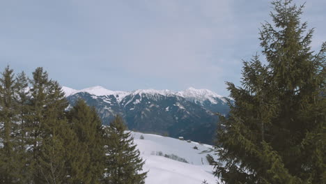 Luftaufnahmen-Von-Drohnen-Beim-Flug-Zwischen-Zwei-Kiefern-In-Den-Schneebedeckten-Bergen,-Die-Eine-Winterlandschaft-Mit-Hohen-Bergen-über-Holzhäusern-Zeigen