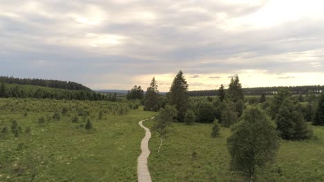 Holzweg-Durch-Das-Gras