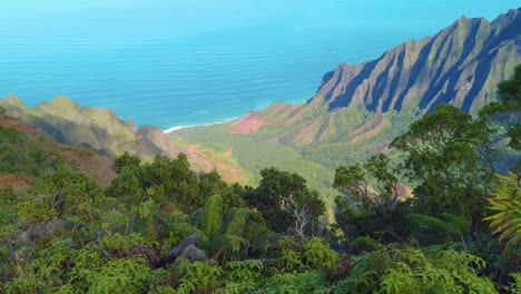 4K-Hawaii-Kauai-elevated-static-shot-of-canyon-and-ocean-view-from-Pu'u-Kila-Lookout