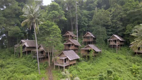 aerial-view-of-group-of-old-abandoned-wooden-huts-in-rain-forest