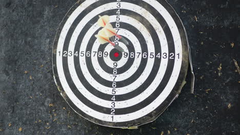 Throwing-darts-arrows-and-hitting-near-by-the-target