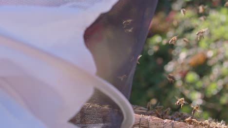 Imker-Arbeitet-Im-Frühling-In-Zeitlupe-Mit-Honigbienen-Am-Bienenstock