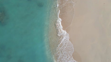 Ascending-aerial-top-down-showing-beach,-turquoise-water-and-shore-of-Gili-Meno-Island