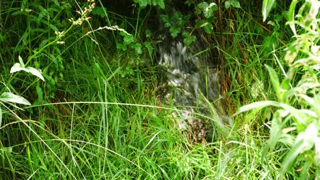 Small-waterfall-running-through-green-vegetation