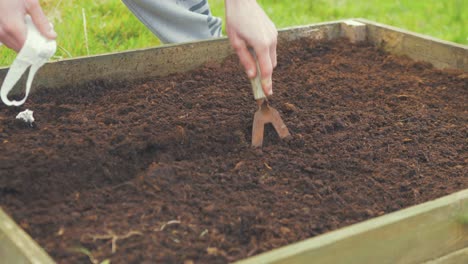 Hoeing-soil-in-raised-garden-bed-to-sow-seeds