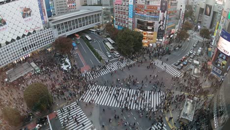 Aerial-view-of-people-walking-over-the-shibuya-crossing-in-Tokyo