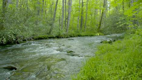 slow-pan-footage-of-NC-river