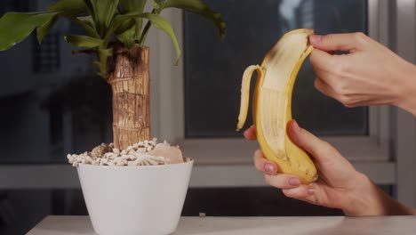 Girl-is-opening-banana-and-cleans-the-peel