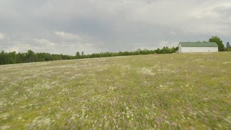 Flying-over-wildflowers-in-meadow,-Increasing-aerial-flight