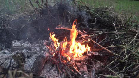 Fading-fire-with-leftover-ash-after-burning-of-dry-woods,-leaves-and-straw-during-bonfire