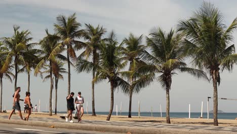 Palm-trees-along-the-beach-of-Ipanema-with-people-in-face-masks-engaging-in-sports-and-recreational-activities-such-as-walking,-biking-and-running-during-the-COVID-19-coronavirus-outbreak