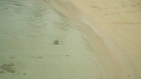 Glatte-Wellen-An-Der-Küste-Der-Insel,-Sandstrand,-Echtzeit,-Statische-Aufnahme