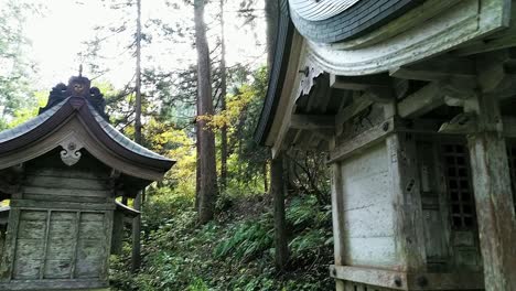 Wooden-shrines-in-a-pine-wood-forest