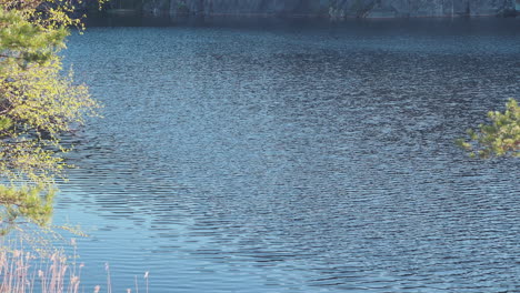 Ripples-on-the-water-surface-on-a-deep-lake