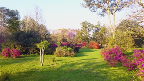 Jardín-En-Flor