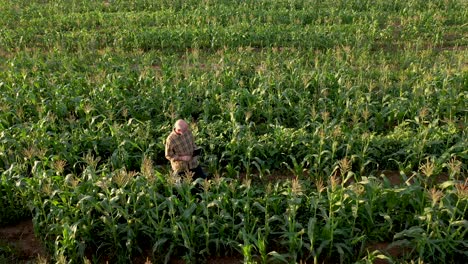 Aerial-view-of-farmer-with-digital-tablet-checking-the-integrity-of-the-corn-field-of-agriculture