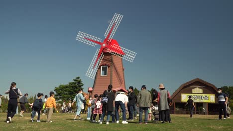Tourists-Wearing-Face-Mask-Surrounding-And-Taking-Pictures-At-White-Sheep-Grazing-In-The-Field-With-A-Windmill-In-The-Background-At-Anseong-Farmland-In-Gyeonggi-do,-South-Korea