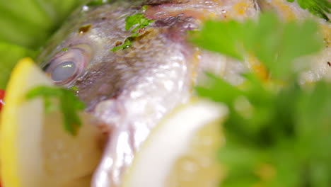 Cooked-bream-fish-ready-to-be-served,-with-parsley-and-lemon