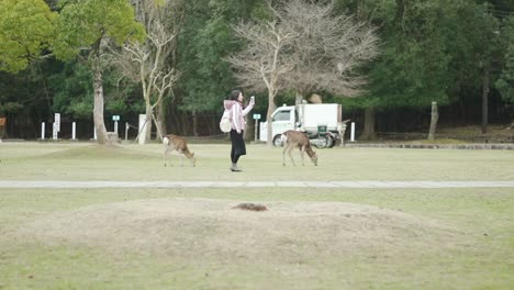 Young-Asian-Woman-Holding-Her-Phone-And-Hanging-Out-With-The-Deer-In-Nara-Park,-Japan