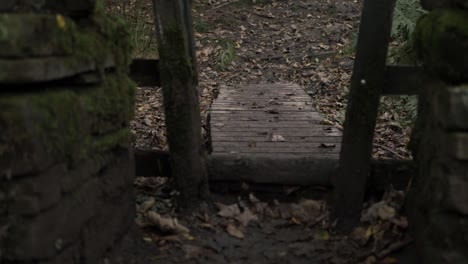 Muddy-wooden-stile-and-pathway-in-countryside-woodland-zoom-in-shot