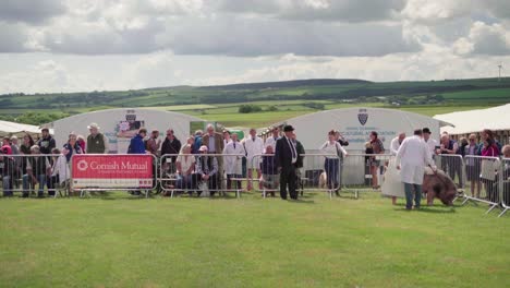 Spectators-Watching-As-The-Pig-Show-Participants-Moving-Around-The-Show-Ring-At-Royal-Cornwall-Show-2019-In-Wadebridge,-United-Kingdom---Wide-Shot