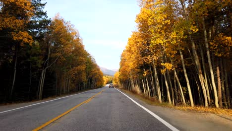Herbstlaub-Pov-Fahren-In-Den-Rocky-Mountains-Von-Colorado