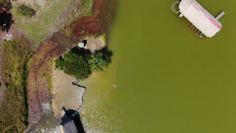 Amazing-4k-daytime-aerial-view-slowly-zooming-in-over-a-woman-swimming-into-the-warm-waters-of-the-Laguna-de-los-Milagros-in-Peru,-city-of-Tingo-Maria,-Amazon-river