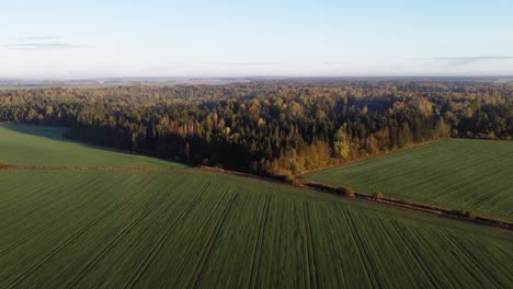 Drone-ascends-over-a-farming-field-and-reveals-beautiful-autumn-forest-in-the-distance