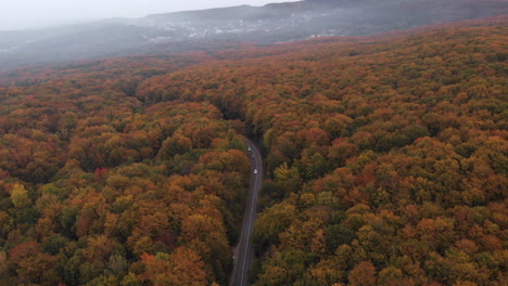 Aerial-view-of-a-forest-road-with-beautiful-autumn-colors-tree-top-in-Transylvania,-Romania,-reveal-shot