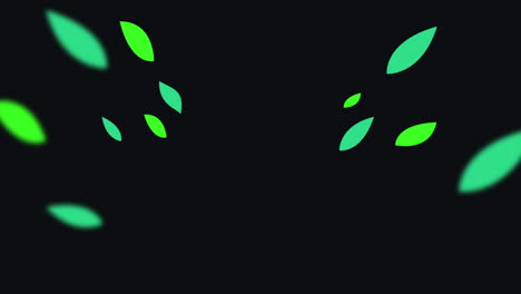 leaf-moving-logo-revile-animation-green-leave