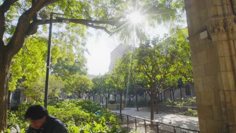 Unglaubliche-Kamerafahrt-Durch-Steinsäulen-Und-Wunderschöne-Bäume-Mit-Gleißender-Sonne-Im-Viertel-Barcelona-Raval