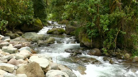 Water-stream-flowing-between-rocks-in-untouched-nature