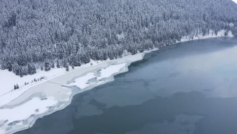 Wald-Umgibt-Das-Ufer-Eines-Zugefrorenen-Sees