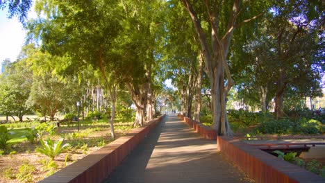 Gente-Caminando-En-El-Camino-En-El-Jardín-Botánico-De-Brisbane