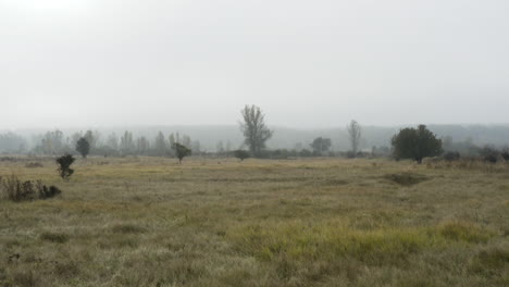 Grasbewachsenes-Moorland-Und-Waldland-In-Einer-Nebligen-Herbstlandschaft,-Tschechien