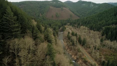 Dramatic-flight-over-Washougal-River-Valley-decending-close-to-evergreens