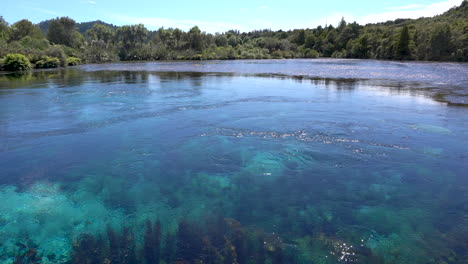 Te-Waikoropupu-Springs-and-clear-blue-pools-in-New-Zealand-also-known-as-Pupu-springs