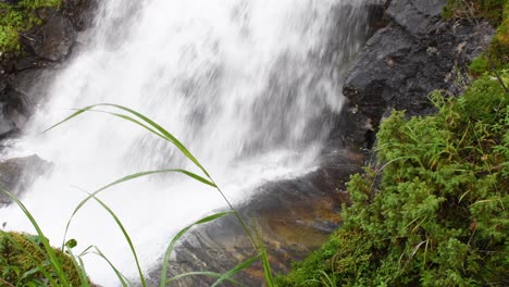 Close-up-shot-of-splashing-waterfall-crashing-down-the-mountain-surrounded-by-green-plant-in-forest