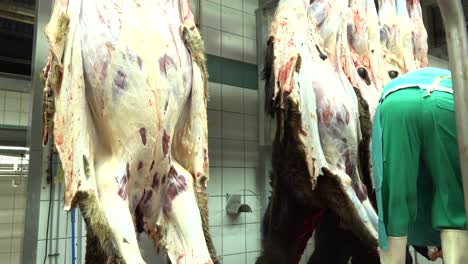 Meat-industry-horses-hanging-worker-removing-skins