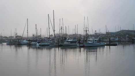 Bootsbecken-Und-Spiegelungen-Von-Fischerbooten-In-Charleston,-Oregon-–-Weitwinkelaufnahme