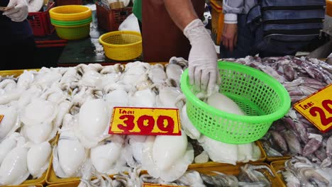 Employee-puts-fresh-squid-in-basket-at-local-fish-market-stall