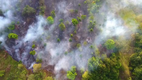 Aerial-view-of-Amazon-rainforest-deforestation,-in-Brazil---Overhead,-drone-shot