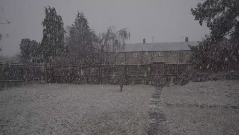 Starke-Schneeflocken-Im-Garten-Eines-Hauses-In-Cambridge,-England-Im-Winter-Großbritannien