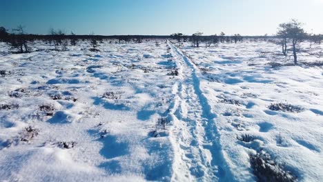 Aerial-view-of-snowy-bog-landscape-with-hiking-trail-and-frozen-lakes-in-sunny-winter-day,-Dunika-peat-bog-,-wide-angle-drone-shot-moving-forward-low-to-the-hiking-pathway