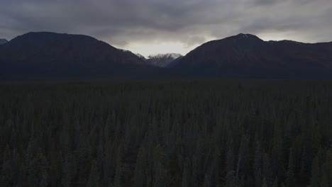 Fly-over-dense-pine-tree-forest-approaching-mountains,-cloudy-sky,-Kluane-National-Park