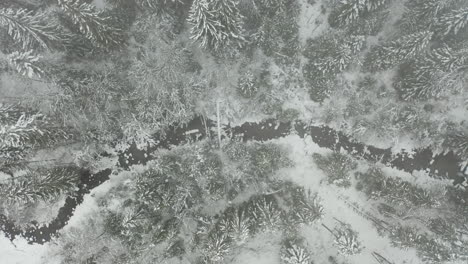 Top-down-aerial-of-small-creek-running-through-snow-covered-forest