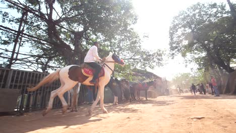 horse-riding-in-slow-motion-in-Matheran-India-Maharashtra