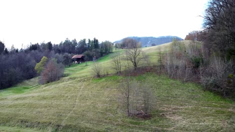 Colina-Verde-En-Laško,-Eslovenia-Oriental,-Antena-Ascendente